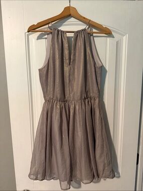 Women’s Shimmery Taupe Party Dress